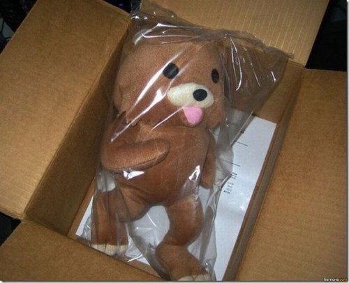 hornoxe.com_picdump224_107