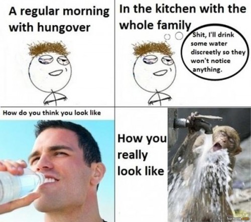 hornoxe.com_picdump224_128