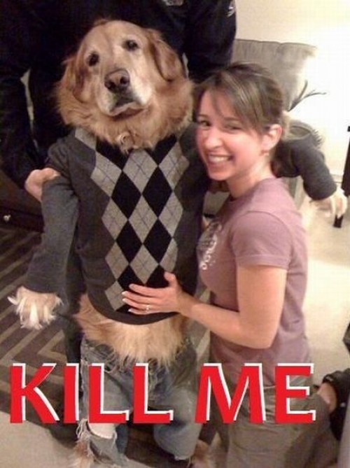 hornoxe.com_picdump225_031