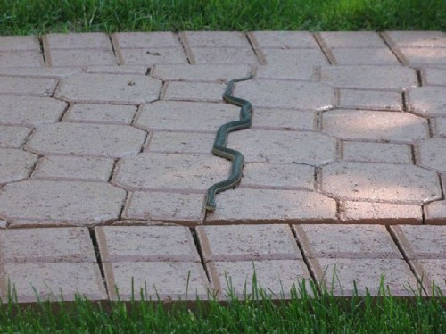 hornoxe.com_picdump225_059