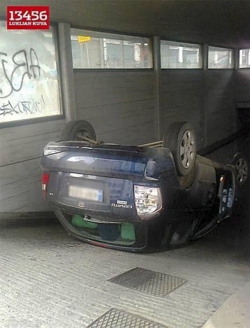 hornoxe.com_picdump225_071