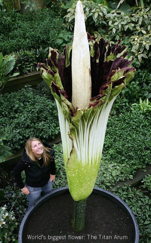 hornoxe.com_picdump225_087