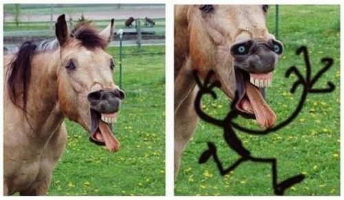 hornoxe.com_picdump226_039