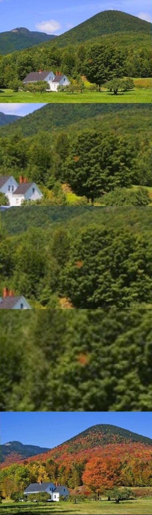 hornoxe.com_picdump226_089