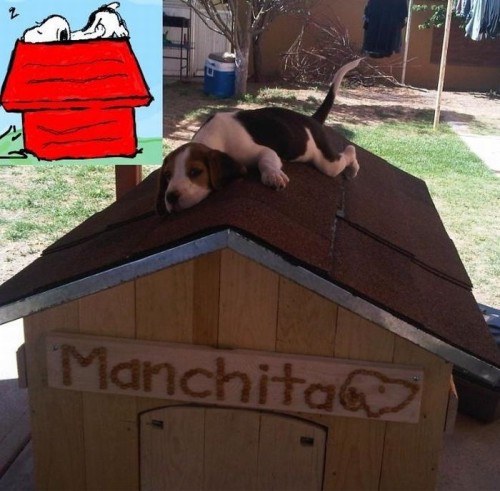 hornoxe.com_picdump226_115