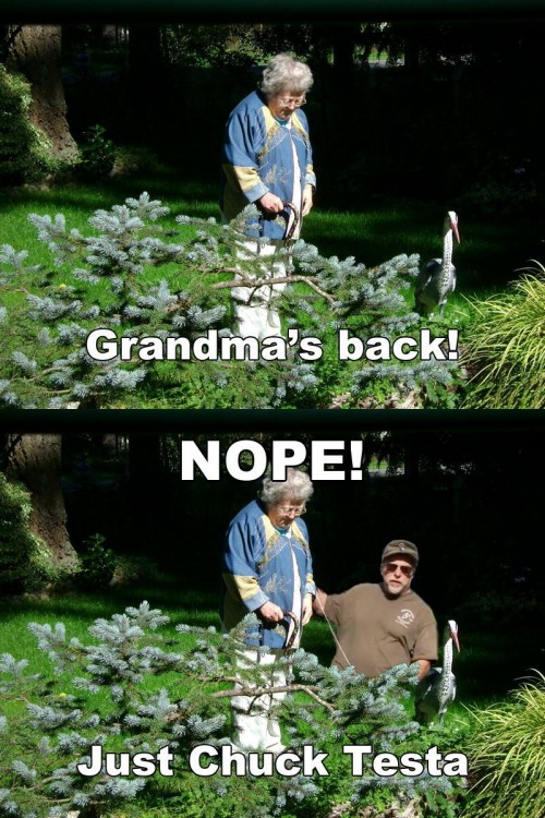 hornoxe.com_picdump226_125