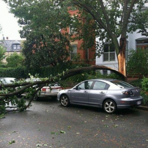 hornoxe.com_picdump226_135