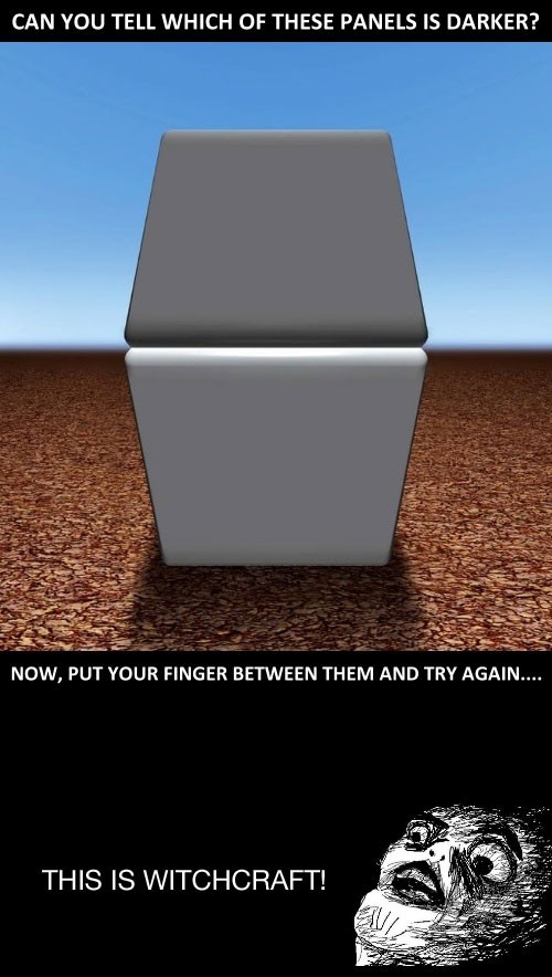 hornoxe.com_picdump227_014