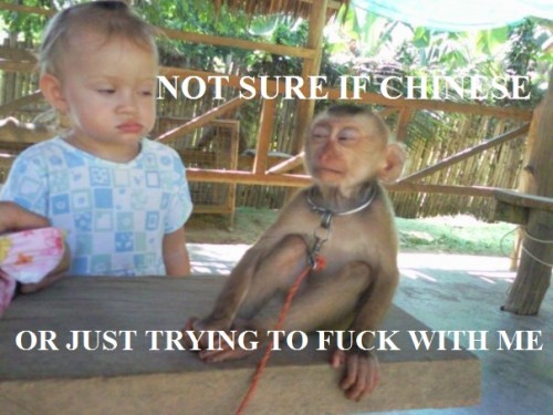 hornoxe.com_picdump227_064