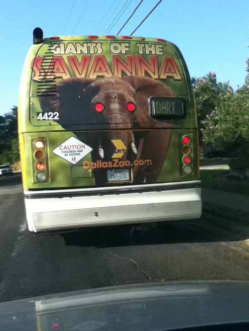 hornoxe.com_picdump227_077