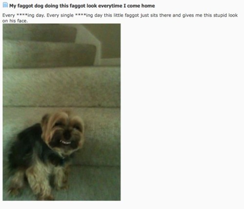 hornoxe.com_picdump227_109