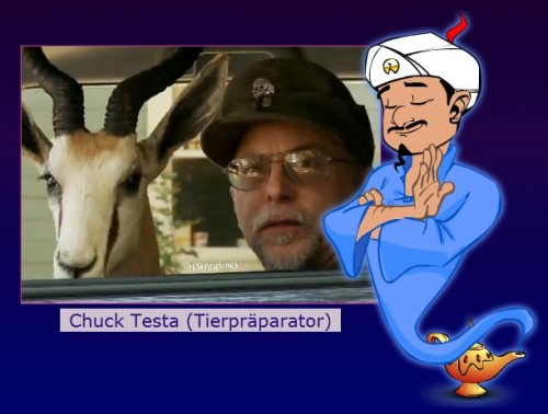 hornoxe.com_picdump228_032