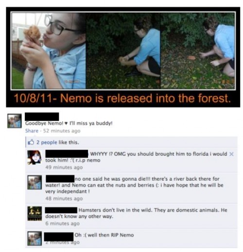 hornoxe.com_picdump228_048