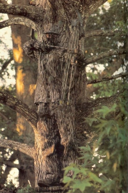 hornoxe.com_picdump229_077