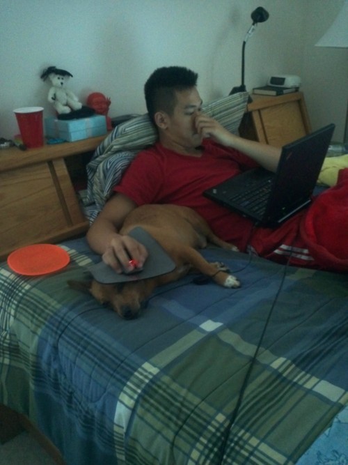 hornoxe.com_picdump229_143