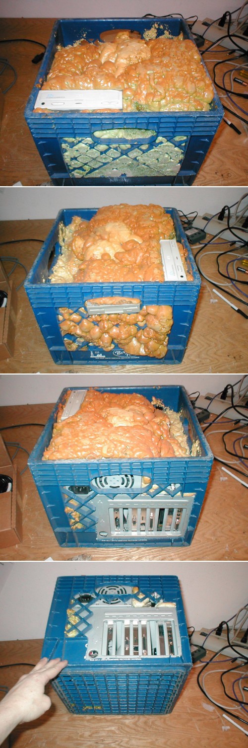 hornoxe.com_picdump230_013