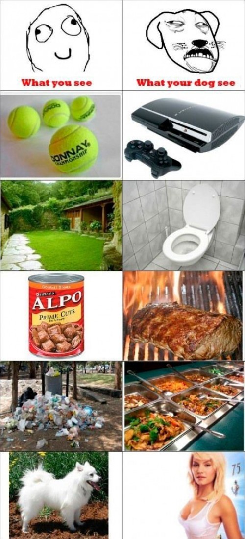 hornoxe.com_picdump230_030