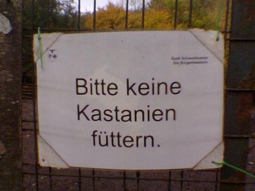 hornoxe.com_picdump230_108