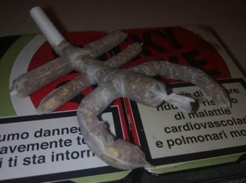 hornoxe.com_picdump230_113