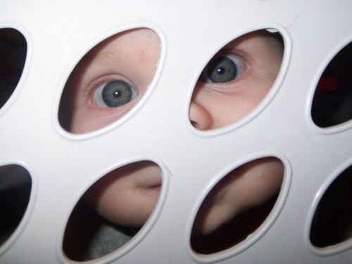 hornoxe.com_picdump230_119