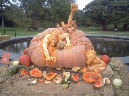 hornoxe.com_picdump230_132