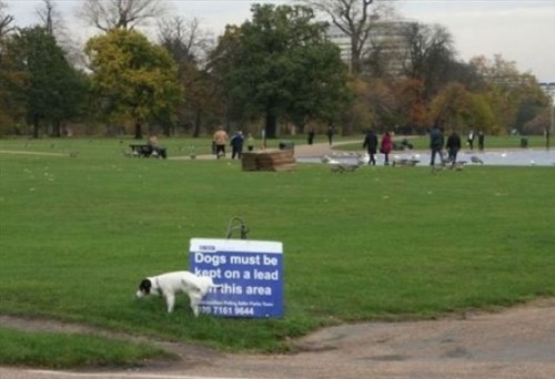 hornoxe.com_picdump230_142