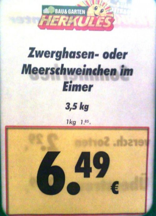 hornoxe.com_picdump231_007