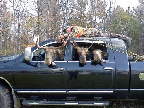 hornoxe.com_picdump231_055