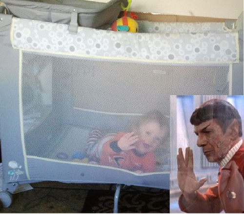 hornoxe.com_picdump231_065