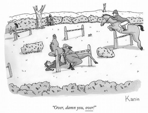 hornoxe.com_picdump231_142