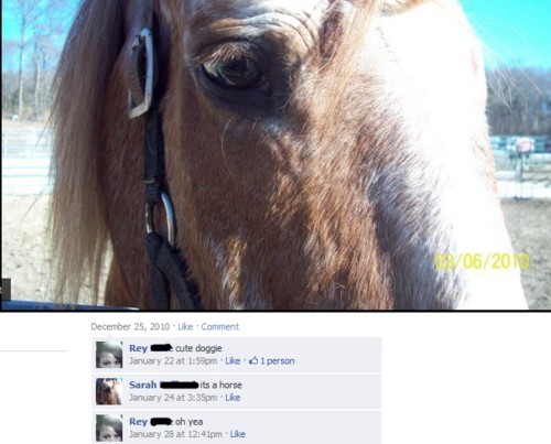 hornoxe.com_picdump231_155