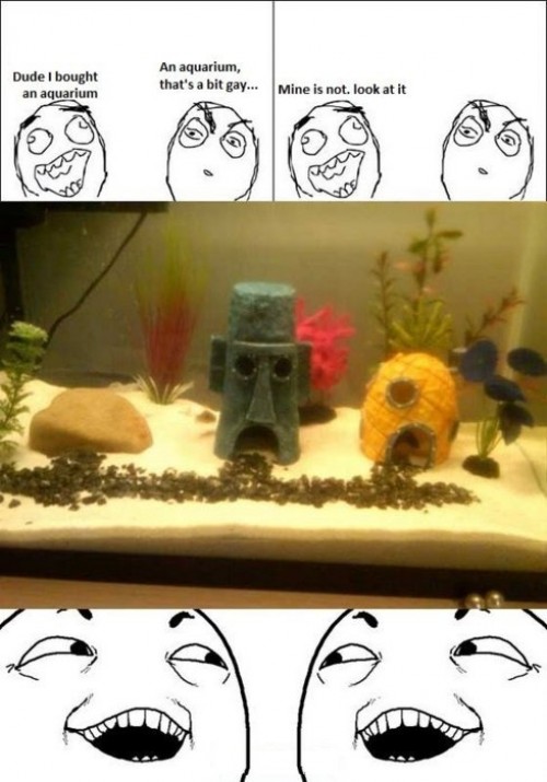 hornoxe.com_picdump231_158