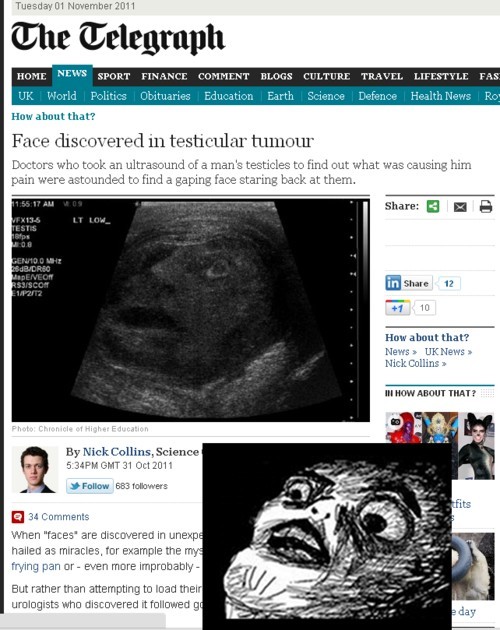 hornoxe.com_picdump231_162