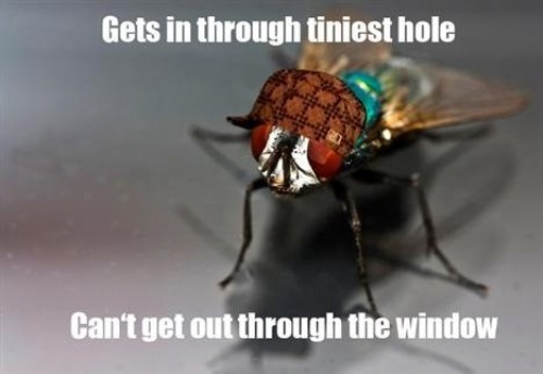 hornoxe.com_picdump231_163