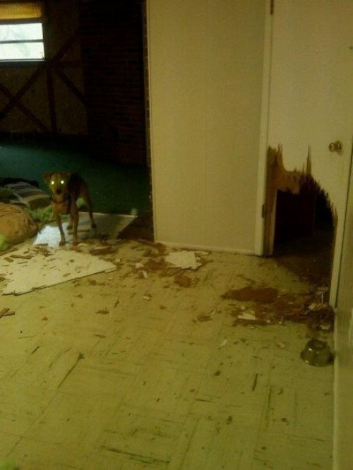 hornoxe.com_picdump232_062