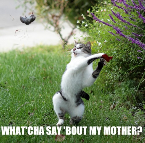 hornoxe.com_picdump232_090