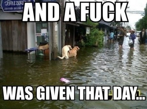 hornoxe.com_picdump232_118