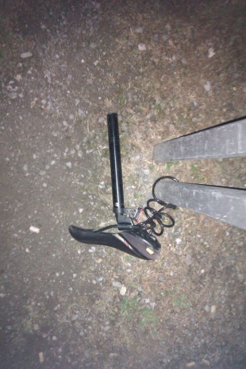 hornoxe.com_picdump233_003