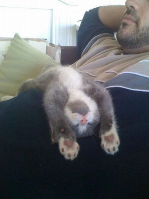 hornoxe.com_picdump233_026