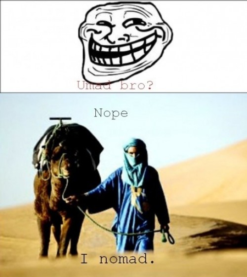 hornoxe.com_picdump233_027