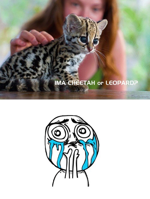 hornoxe.com_picdump233_050