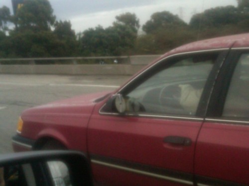 hornoxe.com_picdump233_067