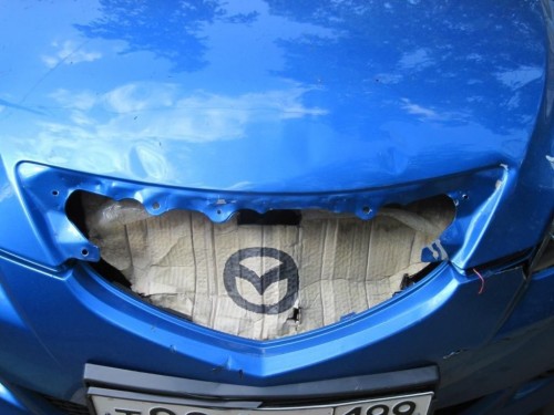 hornoxe.com_picdump233_099