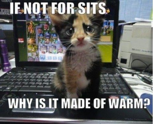 hornoxe.com_picdump233_130