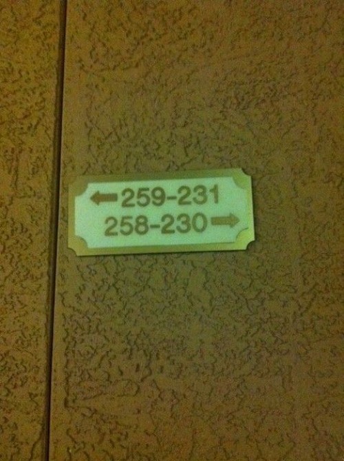 hornoxe.com_picdump233_142