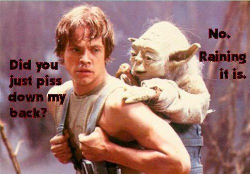 hornoxe.com_picdump233_151