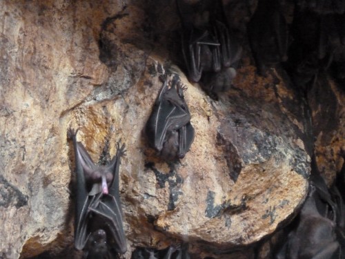 hornoxe.com_picdump233_152