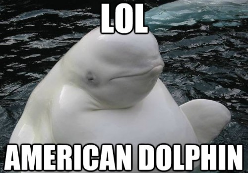 hornoxe.com_picdump233_164