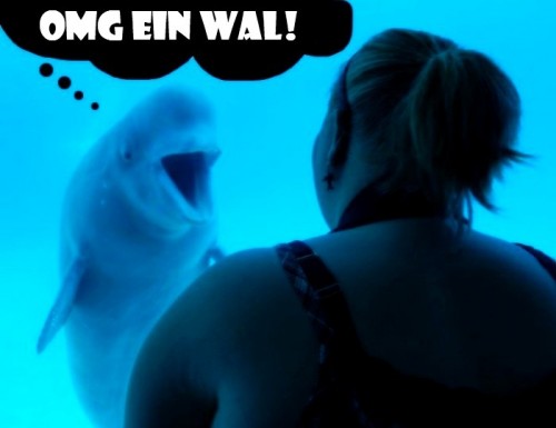 hornoxe.com_picdump233_174