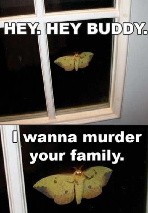 hornoxe.com_picdump234_104